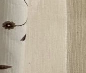 Продать Квартиры вторичка Кондратьевский проспект, 64К2   