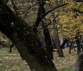 Продать Квартиры вторичка Вешняковская улица, 6К4   