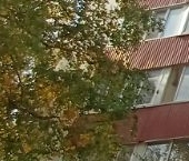 Продать Квартиры вторичка Планерная улица, 5К4   