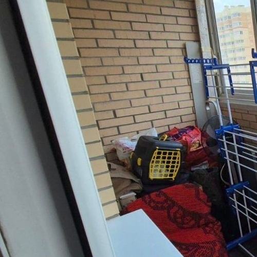 Студия пос. Янино-1, улица Голландская, 8к1