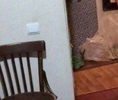 Продать Квартиры вторичка улица Горбунова, 11К4   