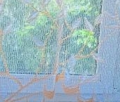 Продать Квартиры вторичка д. Лесколово, улица Красноборская, 14   