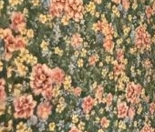 Продать Квартиры вторичка улица Симоновский Вал, 11/31К2   