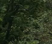 Продать Дачи, коттеджи, загородные дома д. Жары, шоссе Московское, 12   