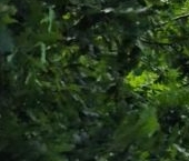 Продать Дачи, коттеджи, загородные дома Кингисепп, Учитель СНТ   