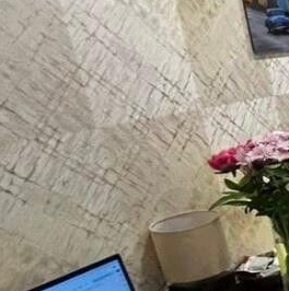 Продажа 1-комн квартиры на вторичном рынке пос. Шушары, улица Вишерская, 1к1 Продажа 1-комн квартиры на вторичном рынке пос. Шушары, улица Вишерская, 1к1