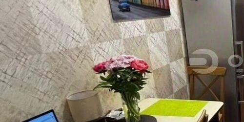 1-комн квартира пос. Шушары, улица Вишерская, 1к1