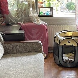 Продажа студии Пулковская улица, 8к4