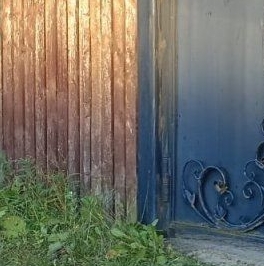 Продажа дома д. Подол, 5