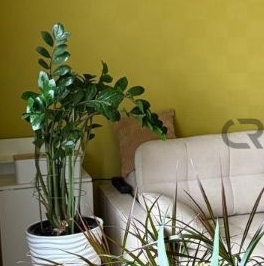 Продажа 3-комн квартиры на вторичном рынке пос. Шушары, Славянка тер., шоссе Колпинское, 34к1 Продажа 3-комн квартиры на вторичном рынке пос. Шушары, Славянка тер., шоссе Колпинское, 34к1