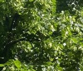 Продать Квартиры вторичка улица Верхние Поля, 42К1   