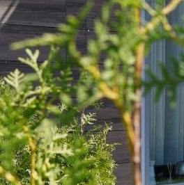 Аренда 3-комн квартиры на вторичном рынке Лахта тер., улица Новая, 51к67 Аренда 3-комн квартиры на вторичном рынке Лахта тер., улица Новая, 51к67