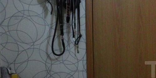 1-комн квартира улица Тельмана, 36К1