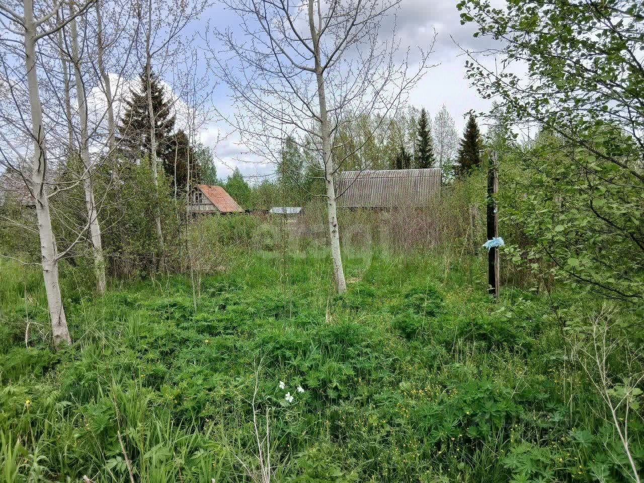 Продажа земли Пупышево садоводческий массив, Волхов СНТ, 1-я линия,  д. 10