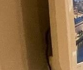 Продать Квартиры вторичка проспект Вернадского, 41С1   