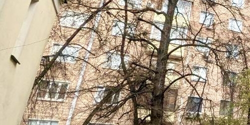 3-комн квартира Бутырская улица, 53К3