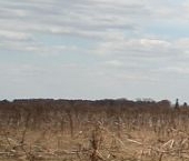 Продать Земельные участки, земля д. Смердовицы, 15   