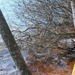 Продажа дома д. Шепелево, улица Озерная Продажа дома д. Шепелево, улица Озерная