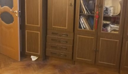 1-комн квартира Малая Охта тер., улица Казанская, 7