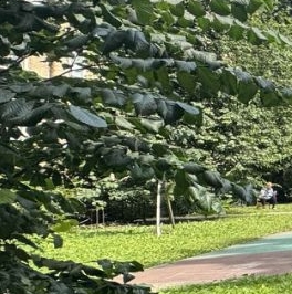 Продажа 3-комн квартиры на вторичном рынке Наличная улица, 21 Продажа 3-комн квартиры на вторичном рынке Наличная улица, 21