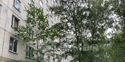 Студия улица 50 лет Октября, 23