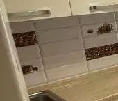 Продать Дачи, коттеджи, загородные дома Рощино пгт, проезд 3-й Строительный, 3   