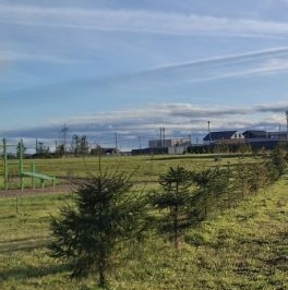 Продажа земли Финская деревня-юг кп, улица Нарвская Продажа земли Финская деревня-юг кп, улица Нарвская