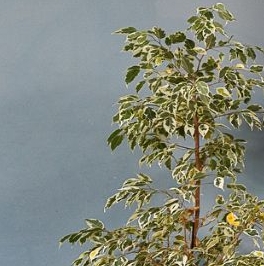 Продажа 2-комн квартиры на вторичном рынке улица Татьянин Парк, 14к4 Продажа 2-комн квартиры на вторичном рынке улица Татьянин Парк, 14к4