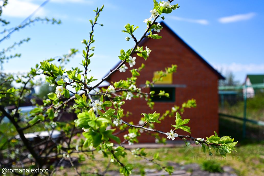 Продажа земли д. Покровская, переулок Динамовский