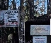 Продать Земельные участки, земля Заречное СНТ, улица Аллейная  140 