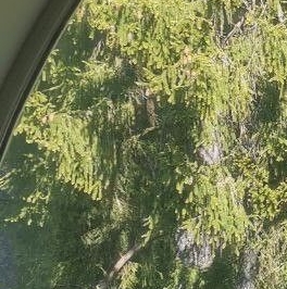 Продажа 1-комн квартиры на вторичном рынке Токсово городской поселок, улица Санаторная, 13А Продажа 1-комн квартиры на вторичном рынке Токсово городской поселок, улица Санаторная, 13А