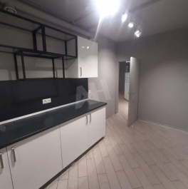 Аренда отдельного здания Печатников пер, д. 19 Аренда отдельного здания Печатников пер, д. 19