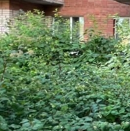 Продажа 1-комн квартиры на вторичном рынке Пушкин, улица Генерала Хазова, 6