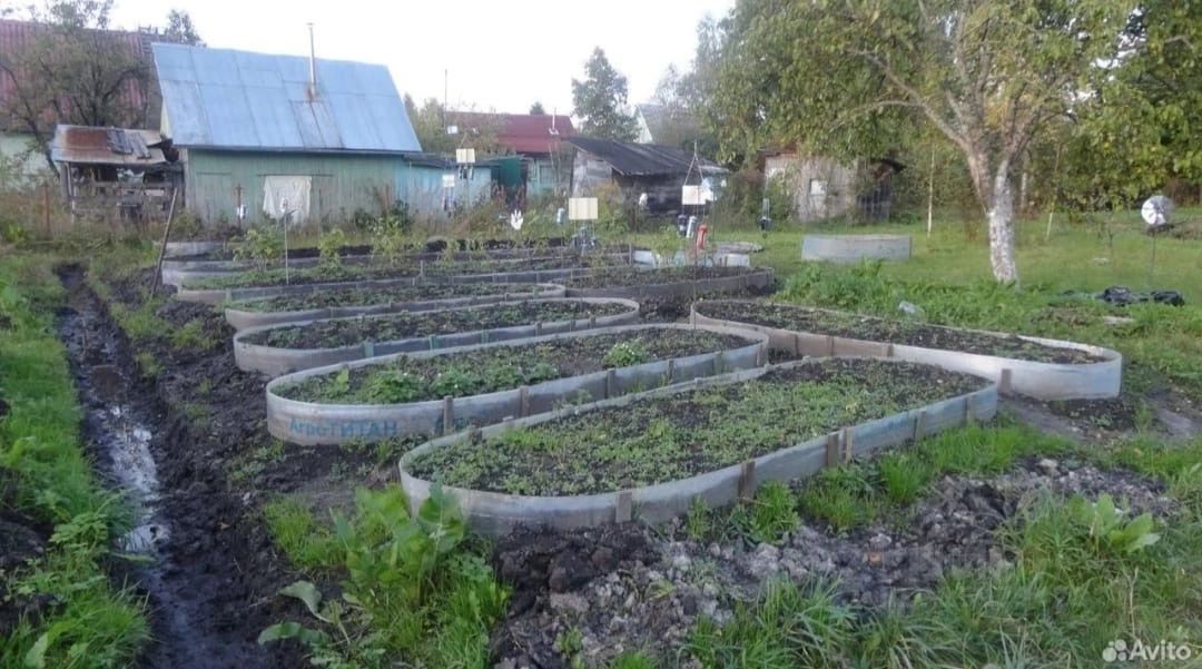 Продажа земли Мшинская садоводческий массив, Нептун СНТ, улица Кипарисовая, 171