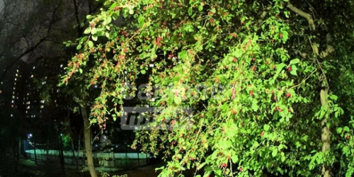 2-комн квартира улица Яблочкова,  д. 35