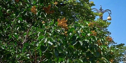 2-комн квартира Малая Бронная улица, 36