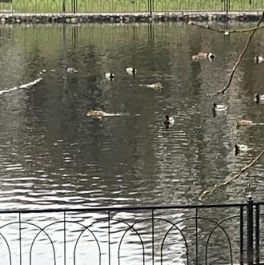 Продажа 2-комн квартиры на вторичном рынке улица Ивана Сусанина,  д. 2 к1