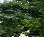 Продать Квартиры вторичка проспект Маршала Жукова, 74к4   