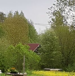 Продажа дома д. Матокса, улица Приречная, 3