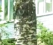 Продать Квартиры вторичка Гражданский проспект, 9К4   