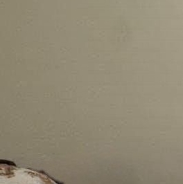 Аренда 2-комн квартиры на вторичном рынке улица Новаторов, 8К2 Аренда 2-комн квартиры на вторичном рынке улица Новаторов, 8К2