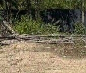 Продать Земельные участки, земля Ламполово кп, улица Гармоничная   