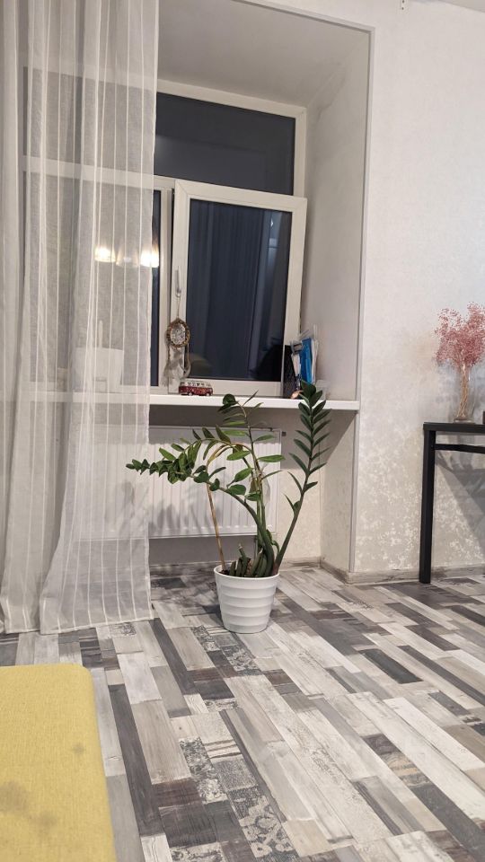 Аренда 1-комн квартиры на вторичном рынке Химки, улица Германа Титова, 5к2