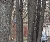 Продать Квартиры вторичка Чертановская улица, 7А   