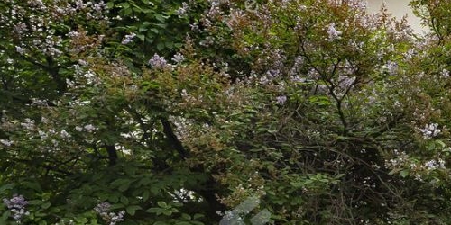 6-комн квартира проспект Елизарова, 8к2Е