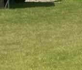 Продать Дачи, коттеджи, загородные дома Балтийская Слобода 2 кп, улица Стрелецкая  2 