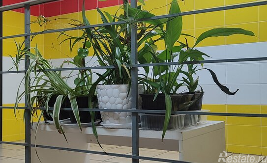 Продажа 1-комн квартиры на вторичном рынке Янино-1 пгт, Мельничный пер,  д. 1