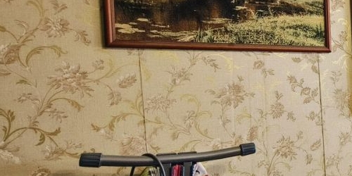 4-комн квартира Плетешковский переулок, 8С2