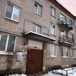 Продажа 1-комн квартиры на вторичном рынке Низино, Центральная улица,  д. 1