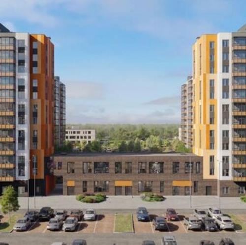 1-комн квартира Аннинское городское поселение, Петропавловская улица,  д. 13